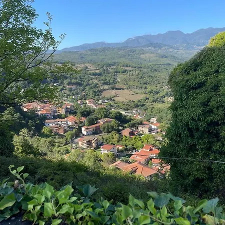 Il Prugnolo *