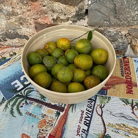 شاليه Il Prugnolo