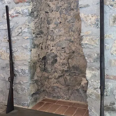 شاليه Il Prugnolo *
